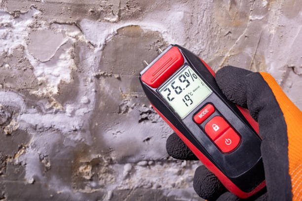 Professional Mold Removal in West Laurel, MD