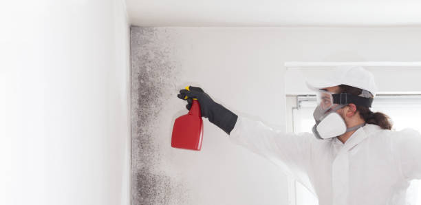 Crawl Space Mold Removal in West Laurel, MD